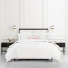image:imagekate spade new york Curious Garden 3Piece FullQueen Comforter Set 100 Cotton Reversible Cover All Season Warmth Bedding Machine Washable Pink MulticolorCotton Ruffle