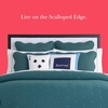 image:imagekate spade new york Scalloped Edge Euro Sham 26 x 26 Decorative Pillow Cover Single 100 Cotton Cover Machine Washable NavyBlue Spruce