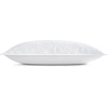 image:imagekate spade new york Scalloped Edge Euro Sham 26 x 26 Decorative Pillow Cover Single 100 Cotton Cover Machine Washable NavyBright White