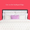 image:imagekate spade new york Scalloped Edge Euro Sham 26 x 26 Decorative Pillow Cover Single 100 Cotton Cover Machine Washable NavyMarshmallow