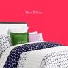 image:imagekate spade new york Spade Floral Decorative Pillow 20 x 20 Throw Pillow for Bed or Sofa Textured Cotton and Polyester Blend Cover PinkOld Habits  New Tricks