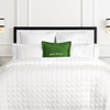 image:imagekate spade new york Spade Floral Decorative Pillow 20 x 20 Throw Pillow for Bed or Sofa Textured Cotton and Polyester Blend Cover PinkOld Habits  New Tricks