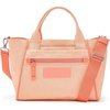 Light Cantaloupe Canvas