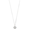 Clear/Silver
