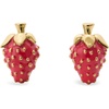 Red Strawberry Statement