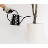 image:imageKate Spade New York 25 Liter Indoor Watering Can Metal Watering Can for House Plants Cute Gardening Tool for Women Picture Dot