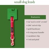 image:imageKate Spade New York 6ft Dog Leash Heavy Duty Lead for Female or Male Dogs Cute Pet Leash with Gold Metal Hardware Long Dog Lead for Medium and Large Breeds Red and PinkRed and Pink