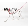 image:imageKate Spade New York 6ft Dog Leash Heavy Duty Lead for Female or Male Dogs Cute Pet Leash with Gold Metal Hardware Long Dog Lead for Medium and Large Breeds Red and PinkRed and Pink