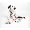 image:imageKate Spade New York 6ft Dog Leash Heavy Duty Lead for Female or Male Dogs Cute Pet Leash with Gold Metal Hardware Long Dog Lead for Medium and Large Breeds Red and PinkAdventure Stripe