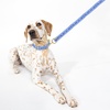 image:imageKate Spade New York 6ft Dog Leash Heavy Duty Leash for Female or Male Dogs Cute Pet Leash with Gold Metal Hardware Long Dog Lead for Medium and Large Breeds Raining Cats and Dogs