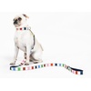 image:imageKate Spade New York Cute Dog Collar 105135 Adjustable Gold Metal Details Plastic Buckle Small to Medium Dogs Raining Cats amp Dogs PatternAdventure Stripe