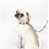 image:imageKate Spade New York Cute Dog Collar 105135 Adjustable Gold Metal Details Plastic Buckle Small to Medium Dogs Raining Cats amp Dogs PatternAdventure Stripe