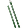 image:imageKate Spade Womens 6 Inch Studded Belt Stylish amp Versatile Accessory for Everyday Adjustable FitDried Basil