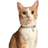 image:imagekate spade new york Breakaway Cat Collar Adjustable Collar with Buckle Closure Watercolor Dot