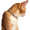 image:imagekate spade new york Breakaway Cat Collar Adjustable Collar with Buckle Closure Watercolor Dot