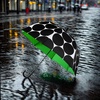 image:imagekate spade new york Bubble Umbrella in Cute Black Pattern for Adults Use for Rain or Sun Large Size Joy Dot