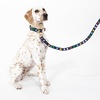 image:imagekate spade new york Cute Dog Collar with Gold Metal Details amp Plastic Buckle 15 to 22 Adjustable Dog Collar for Female or Male Dogs MediumLarge Watercolor DotMediumLarge