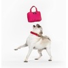 image:imagekate spade new york Cute Plush Dog Toy with Squeaker Chew Pet Toy with Soft Durable Fabric for Small Medium Large Breeds Pink Handbag