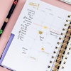 image:imagekate spade new york Daily Planner 20252026 Medium Agenda August 2025December 2026 Hardcover Weekly and Monthly Spiral Planner with Stickers Coastal GardenCoastal Garden