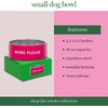image:imagekate spade new york Dog Dish for Food and Water Stainless Steel Bowl with NonSlip Base 4 Cup 32oz Capacity Large Pet Food Bowl or Water Dish for Dogs Navy GinghamMore Please