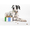 image:imagekate spade new york Dog Dish for Food and Water Stainless Steel Bowl with NonSlip Base 4 Cup 32oz Capacity Large Pet Food Bowl or Water Dish for Dogs Navy GinghamAdventure Stripe