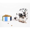 image:imagekate spade new york Dog Dish for Food and Water Stainless Steel Bowl with NonSlip Base 4 Cup 32oz Capacity Large Pet Food Bowl or Water Dish for Dogs Lets Do LunchAdventure Stripe