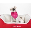 image:imagekate spade new york Pet Bandana for Boy or Girl Dogs Lightweight Bandana for Dog Cute Dog Scarf for Small or Medium Pets Red and PinkRed and Pink