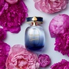 image:imagekate spade new york Sparkle Eau De Parfum Intense  Long Lasting Fragrance with notes of Blackcurrant Peony and Vanilla  Warm amp Floral2 Fl Oz Pack of 1