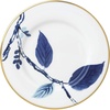 Saucer