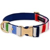 image:imageKate Spade New York Cute Dog Collar 105135 Adjustable Gold Metal Details Plastic Buckle Small to Medium Dogs Raining Cats amp Dogs PatternAdventure Stripe