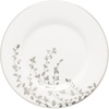 Saucer
