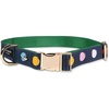image:imagekate spade new york Cute Dog Collar with Gold Metal Details amp Plastic Buckle 15 to 22 Adjustable Dog Collar for Female or Male Dogs MediumLarge Watercolor DotMediumLarge