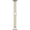 Silver/Gold
