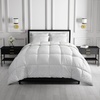 image:imagekate spade new york Noel FullQueen Comforter Down Alternative Comforter with Jacquard Dot Design 300 Thread Count and 100 Cotton All Season Bedding Machine Washable WhiteSpade Floral