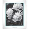 Picture Frame  8X10