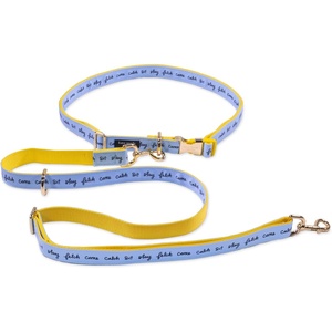 image:imageKate Spade New York Hands Free Leash for Dog Walking Adjustable Waist Leash 3460 Long Pet Lead with Gold Metal Hardware Raining Cats and Dogs