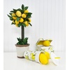 image:imageKate Spade New York Insulated Tumbler with Reusable Straw 20 Ounce Travel Cup with Lid Lemons