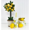 image:imageKate Spade New York Insulated Tumbler with Reusable Straw 20 Ounce Travel Cup with Lid Lemons