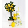 image:imageKate Spade New York Insulated Tumbler with Reusable Straw 20 Ounce Travel Cup with Lid Lemons