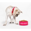 image:imagekate spade new york Dog Dish for Food and Water Stainless Steel Bowl with NonSlip Base 4 Cup 32oz Capacity Large Pet Food Bowl or Water Dish for Dogs Watercolor DotMore Please