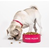 image:imagekate spade new york Dog Dish for Food and Water Stainless Steel Bowl with NonSlip Base 4 Cup 32oz Capacity Large Pet Food Bowl or Water Dish for Dogs Watercolor DotMore Please