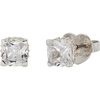 Clear/Silver