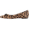 Modern Leopard