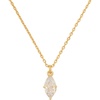 Clear/Gold