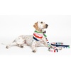 image:imagekate spade new york 6ft Dog Leash Heavy Duty Leash for Female or Male Dogs Cute Pet Leash with Gold Metal Hardware Long Dog Lead for Medium and Large Watercolor DotAdventure Stripe