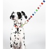 image:imagekate spade new york 6ft Dog Leash Heavy Duty Leash for Female or Male Dogs Cute Pet Leash with Gold Metal Hardware Long Dog Lead for Medium and Large Watercolor DotAdventure Stripe