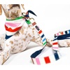 image:imagekate spade new york 6ft Dog Leash Heavy Duty Leash for Female or Male Dogs Cute Pet Leash with Gold Metal Hardware Long Dog Lead for Medium and Large Watercolor DotAdventure Stripe