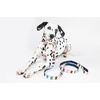 image:imagekate spade new york 6ft Dog Leash Heavy Duty Leash for Female or Male Dogs Cute Pet Leash with Gold Metal Hardware Long Dog Lead for Medium and Large Watercolor DotAdventure Stripe