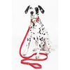 image:imagekate spade new york 6ft Dog Leash Heavy Duty Leash for Female or Male Dogs Cute Pet Leash with Gold Metal Hardware Long Dog Lead for Medium and Large Watercolor DotRed and Pink