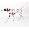 image:imagekate spade new york 6ft Dog Leash Heavy Duty Leash for Female or Male Dogs Cute Pet Leash with Gold Metal Hardware Long Dog Lead for Medium and Large Watercolor DotRed and Pink